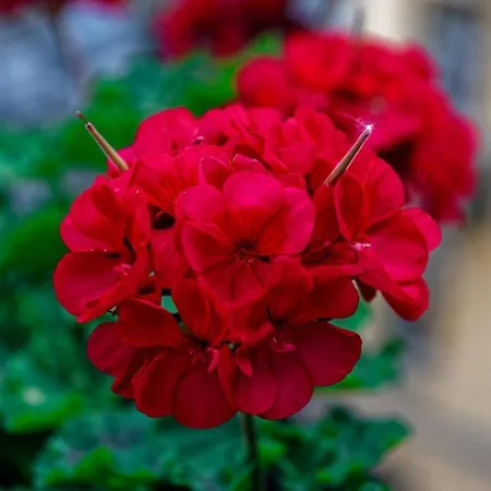 Hotel Kongressikoti Helsinki